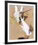 Peter O'Toole, Lawrence of Arabia (1962)-null-Framed Photo