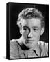 Peter O'Toole - Lawrence of Arabia-null-Framed Stretched Canvas