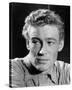 Peter O'Toole - Lawrence of Arabia-null-Stretched Canvas