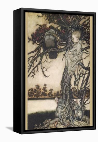 Peter Pan and Solomon Caw-Arthur Rackham-Framed Stretched Canvas