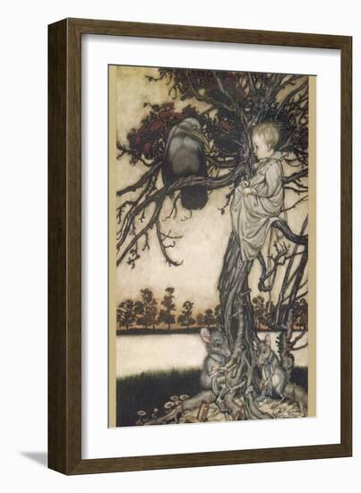 Peter Pan and Solomon Caw-Arthur Rackham-Framed Photographic Print