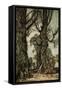 'Peter Pan in Kensington Gardens'-Arthur Rackham-Framed Stretched Canvas