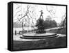 Peter Pan Statue-null-Framed Stretched Canvas