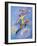 Peter Pan-Judy Mastrangelo-Framed Giclee Print