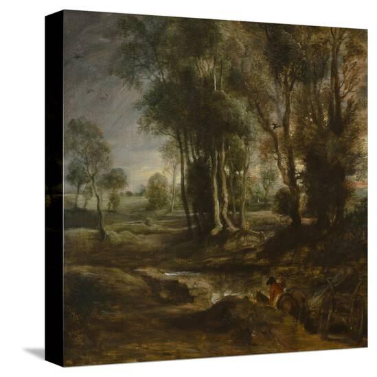 Stretched Canvas Print, , large