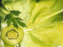Kiwi Slice and Sprig of Parsley on a Lettuce Leaf-Peter Rees-Stretched Canvas