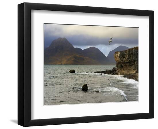 Premium Photographic Print, , large