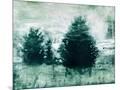 Wood Mount