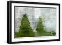 Black Frame