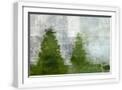 White Frame