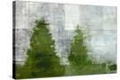 Stretched Canvas