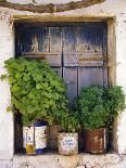 Windowsill, Paleohora, Crete, Greece-Peter Ryan-Framed Photographic Print