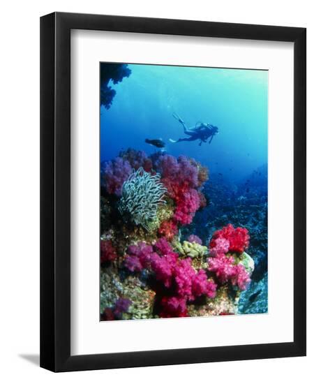 Premium Photographic Print, , large
