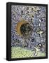 Essential Black