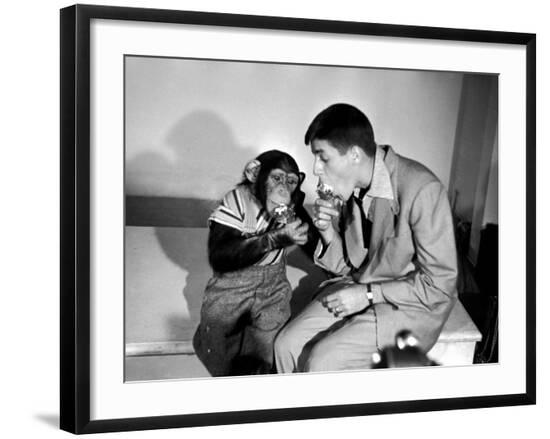 Premium Photographic Print, , large
