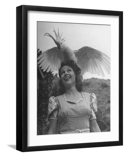Photographic Print, , large