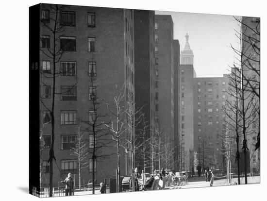 Peter Stuyvesant Village Housing Project-Andreas Feininger-Stretched Canvas