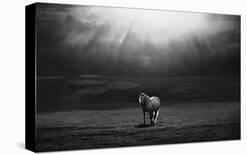 Morning Ride-Peter Svoboda-Photographic Print