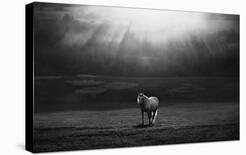 For Strong Only...-Peter Svoboda-Photographic Print