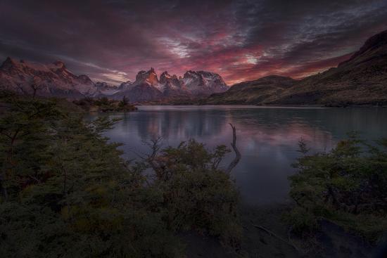Premium Photographic Print, , large