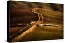 Stretched Canvas