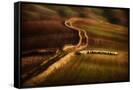 Canvas Black