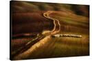 Stretched Canvas