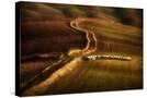 Stretched Canvas
