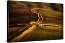 Stretched Canvas