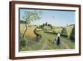 Brown Frame