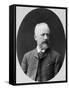 Peter Tchaikovsky, Russian Composer, 1880S-Konstantin Schapiro-Framed Stretched Canvas