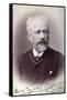 Peter Tchaikovsky, Russian Composer, 1888-null-Framed Stretched Canvas