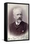 Peter Tchaikovsky, Russian Composer, 1888-null-Framed Stretched Canvas