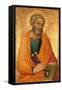 Peter the Apostle-Simone Di Martini-Framed Stretched Canvas