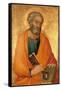 Peter the Apostle-Simone Di Martini-Framed Stretched Canvas