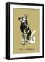 Peter The Schipperke-Lucy Dawson-Framed Art Print