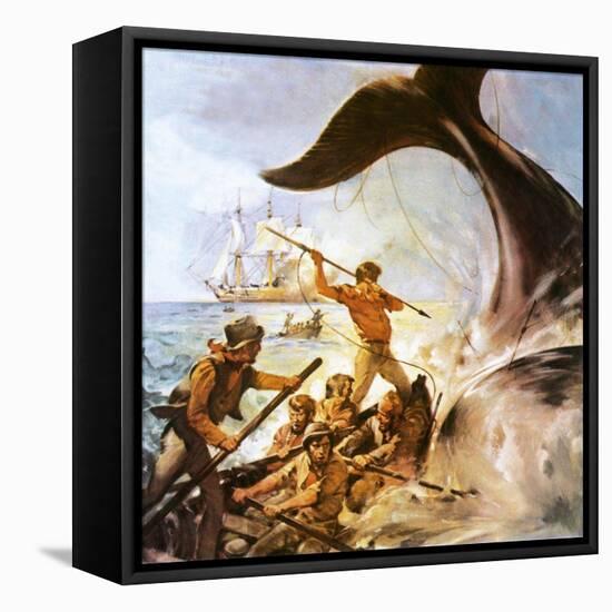Peter the Whaler-McConnell-Framed Stretched Canvas