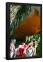 Essential Black