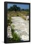 Essential Black
