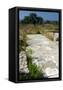 Canvas Black
