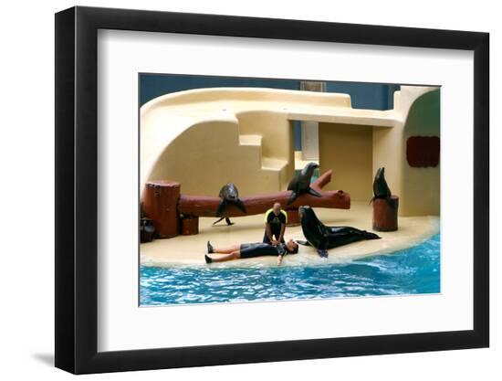 Photographic Print, , large
