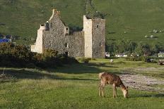 Lochranza Castle, Arran, North Ayrshire, Scotland-Peter Thompson-Photographic Print