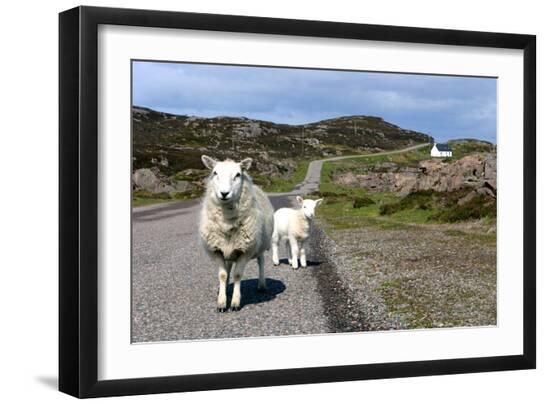Premium Photographic Print, , large