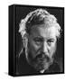 Peter Ustinov-null-Framed Stretched Canvas