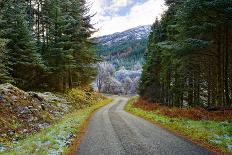 A quiet tree lined lane in the Duddon Valley, Lake District National Park, Cumbria, England, United-Peter Watson-Stretched Canvas