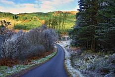 A winter view of a winding road through a wooded valley in the Ardnamurchan Peninsula, the Scottish-Peter Watson-Photographic Print