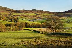 A winter view of a winding road through a wooded valley in the Ardnamurchan Peninsula, the Scottish-Peter Watson-Photographic Print