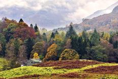 A winter view of a winding road through a wooded valley in the Ardnamurchan Peninsula, the Scottish-Peter Watson-Photographic Print