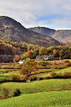 A quiet tree lined lane in the Duddon Valley, Lake District National Park, Cumbria, England, United-Peter Watson-Stretched Canvas