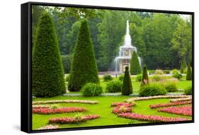 Peterhof Palace. Roman Fountain of the Lower Park in the Rain-kavalenkava volha-Framed Stretched Canvas